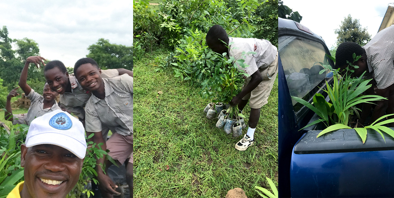 Environmental stewardship and tree planting